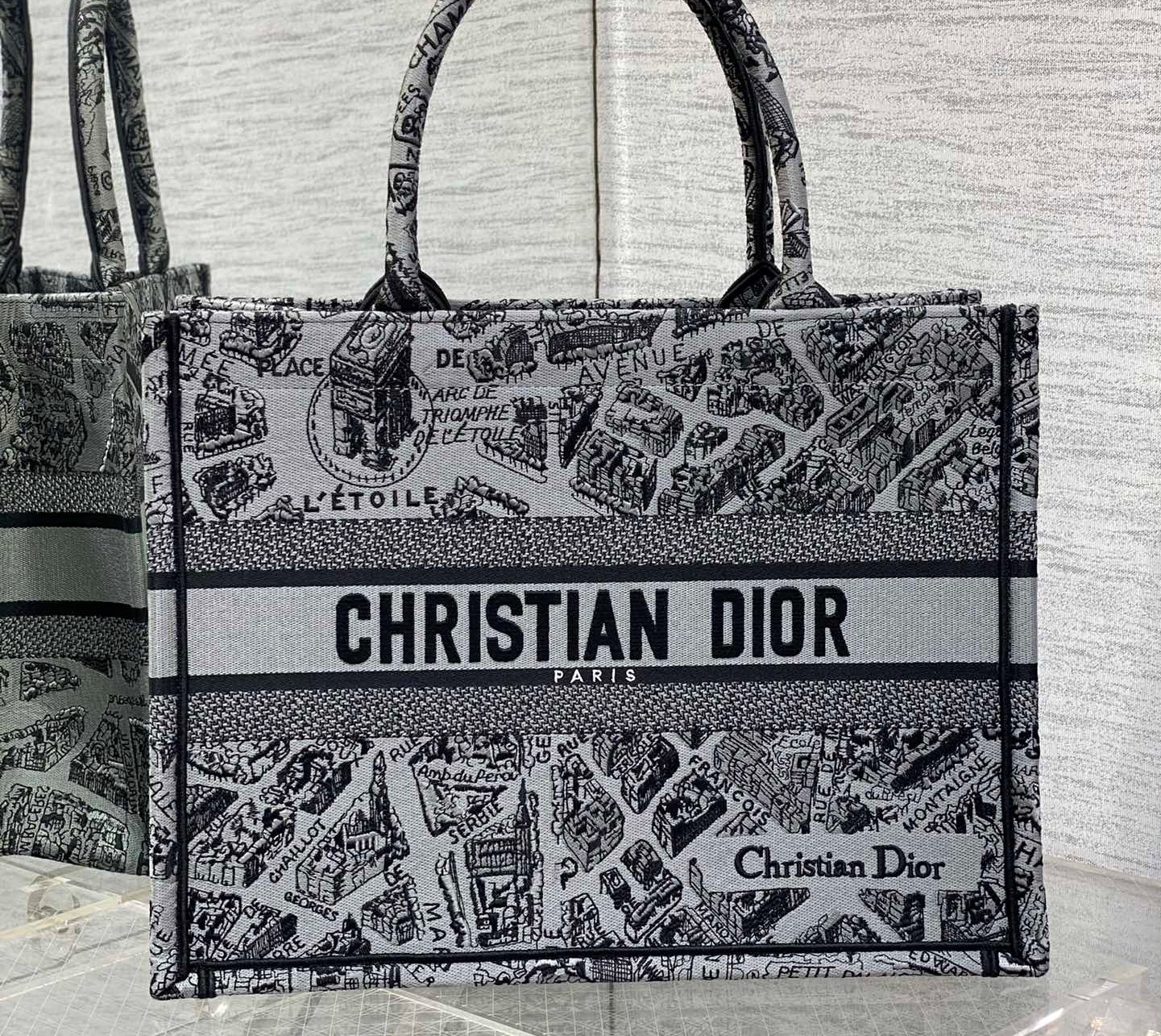 Bagsaaa D10r Book Tote Medium Grey Plan de Paris Embroidery - 36 x 27.5 x 16.5 cm