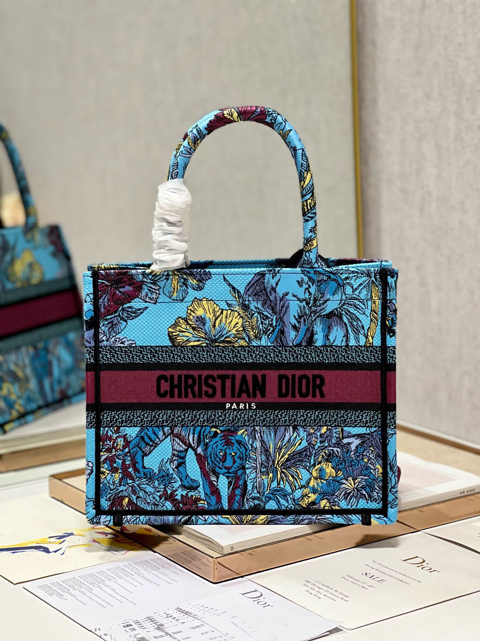 Bagsaaa D10r Small Book Tote Celestial Blue Multicolor Toile de Jouy Voyage Embroidery