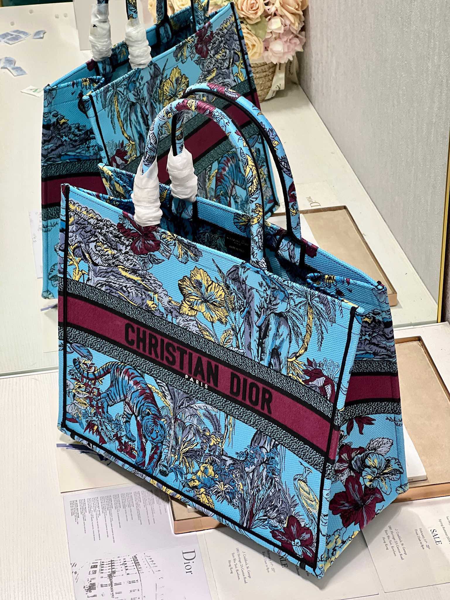 Bagsaaa D10r Large Book Tote Celestial Blue Multicolor Toile de Jouy Voyage Embroidery
