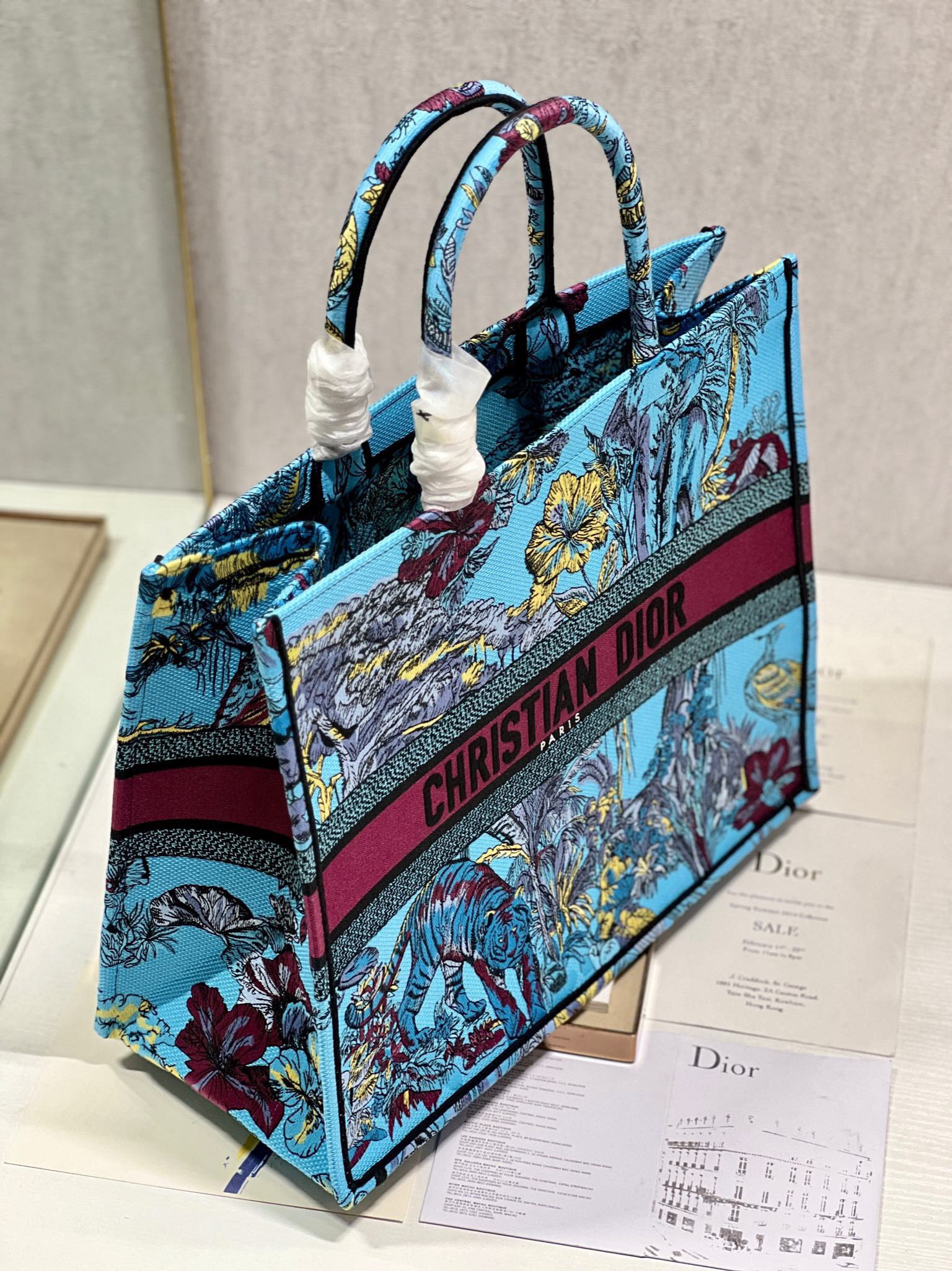 Bagsaaa D10r Large Book Tote Celestial Blue Multicolor Toile de Jouy Voyage Embroidery