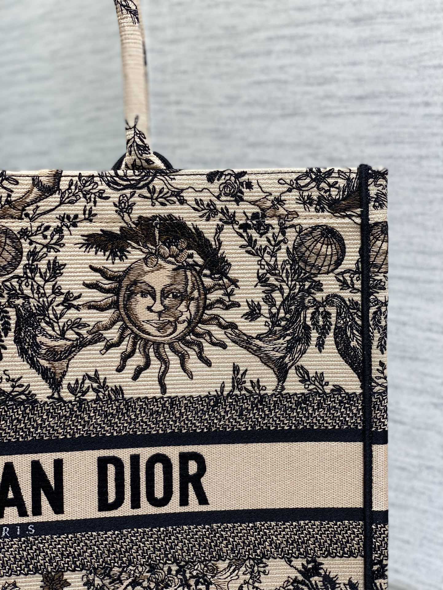 Bagsaaa D10r Large Book Tote Beige and Black Toile de Jouy Soleil Embroidery
