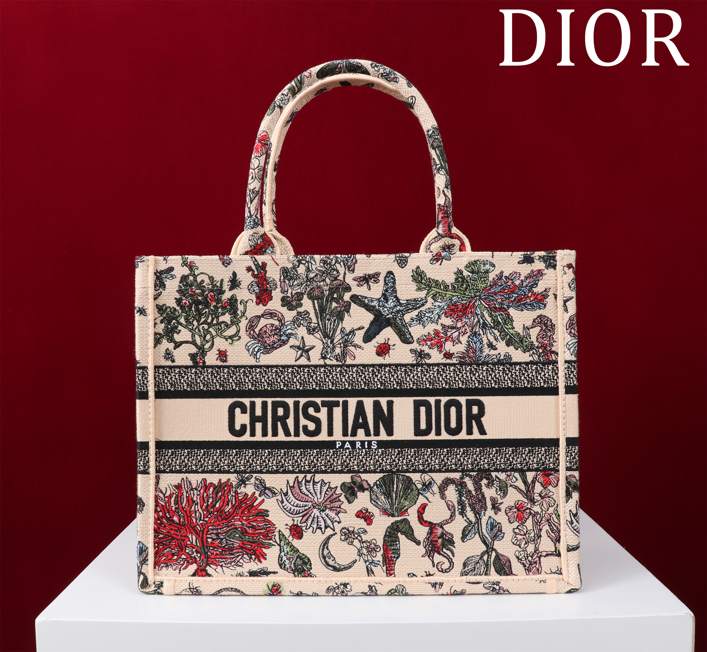 Bagsaaa Medium D10r Book Tote Beige Raffia Embroidered with Multicolor D10r Cabinet de Curiosités Motif - 36 x 27.5 x 16.5 cm