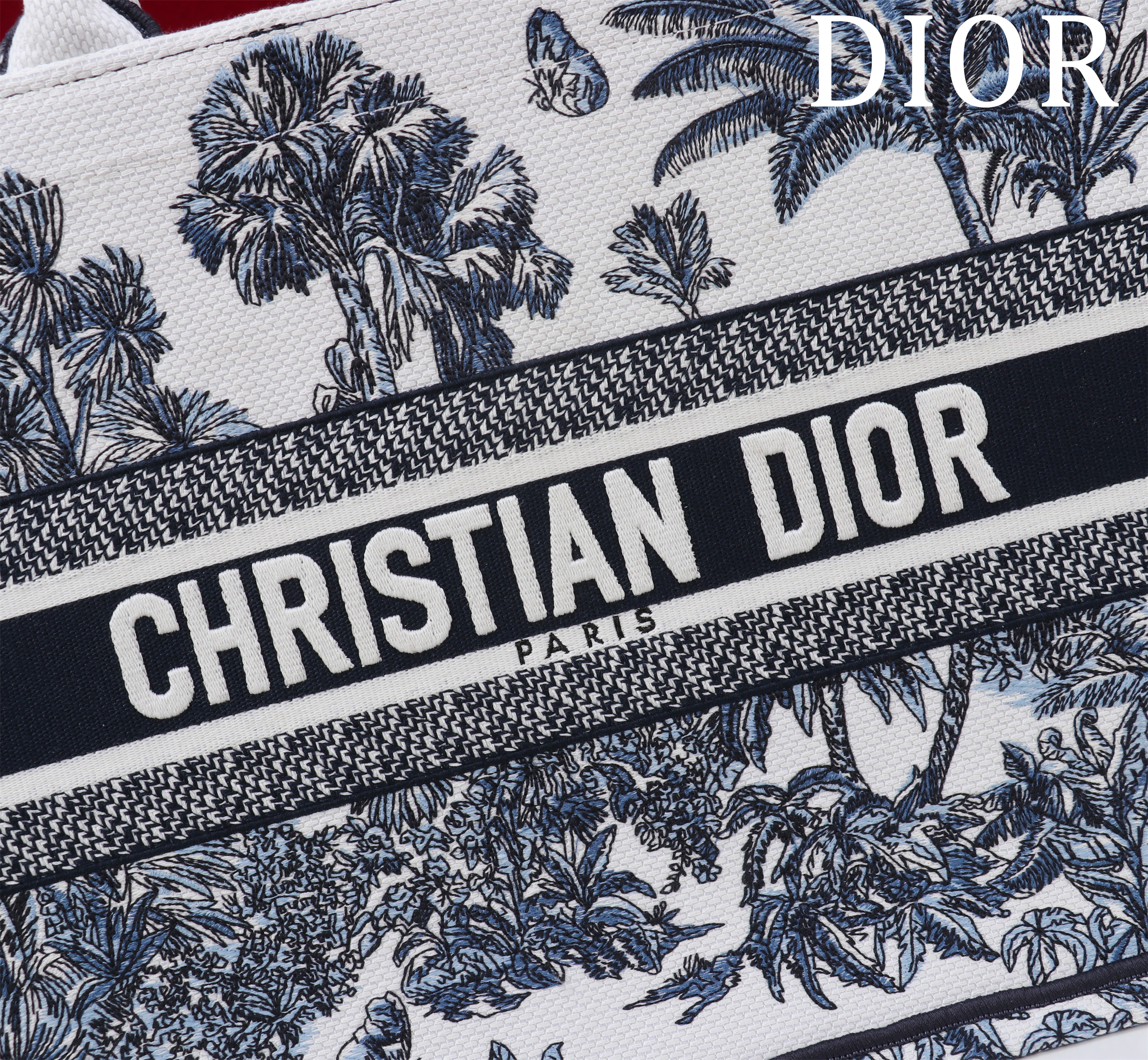Bagsaaa D10riviera Medium D10r Book Tote White and Blue Toile de Jouy Palms Embroidery - 36xm