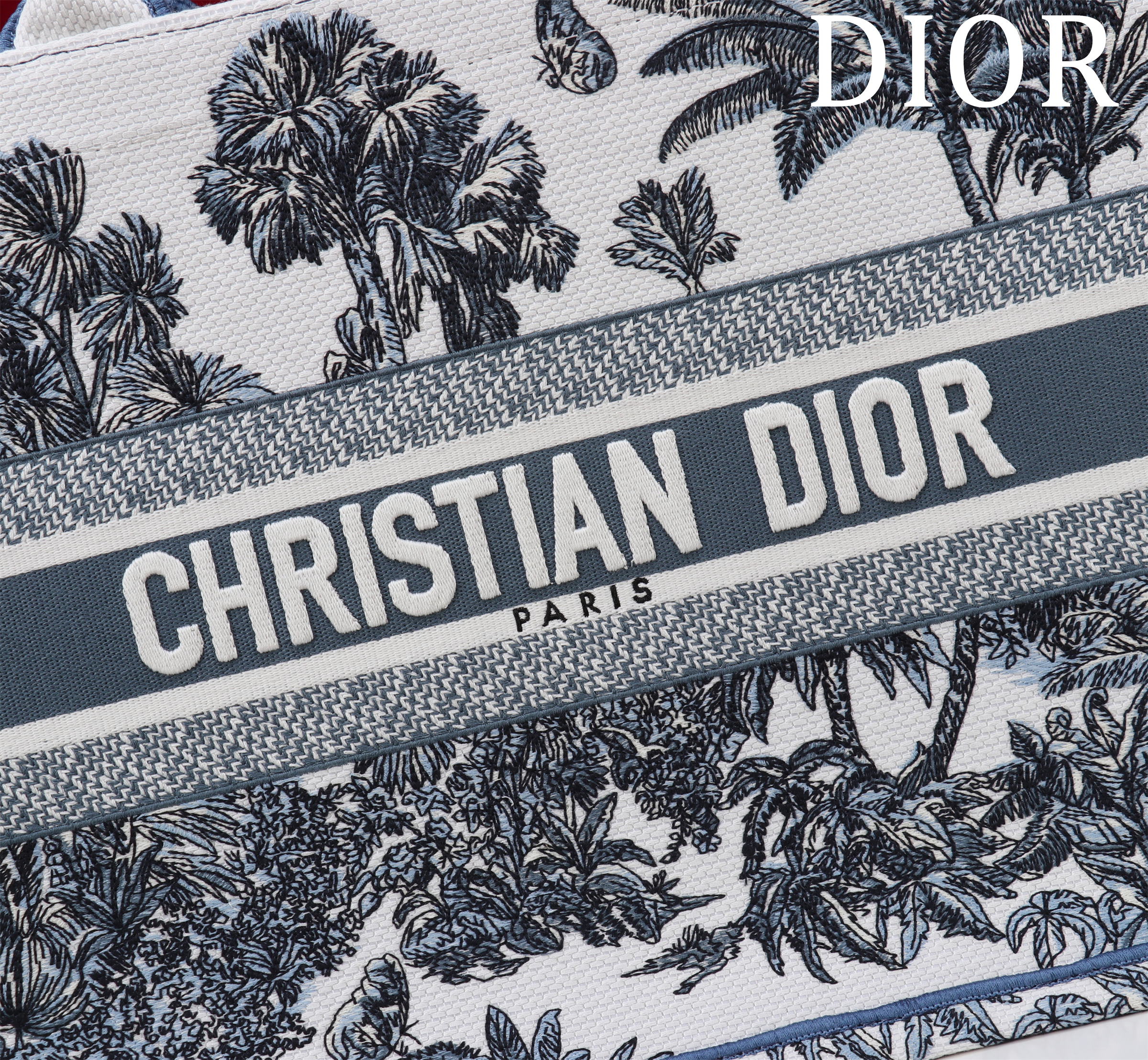 Bagsaaa D10riviera Medium D10r Book Tote White and Azure Blue Toile de Jouy Palms Embroidery - 36cm